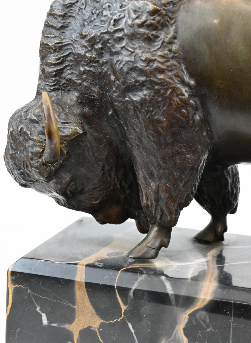 Bronze Buffalo With Horn Detail - Late 19th Century-photo-2